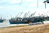 Ratusan perahu asal Pasuruan berada di pesisir Desa Tanjung, Kecamatan Pademawu, Kabupaten Pamekasan. (ISTIMEWA)