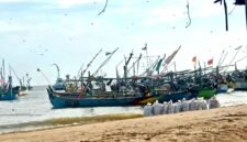 Ratusan perahu asal Pasuruan berada di pesisir Desa Tanjung, Kecamatan Pademawu, Kabupaten Pamekasan. (ISTIMEWA)