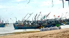 Ratusan perahu asal Pasuruan berada di pesisir Desa Tanjung, Kecamatan Pademawu, Kabupaten Pamekasan. (ISTIMEWA)