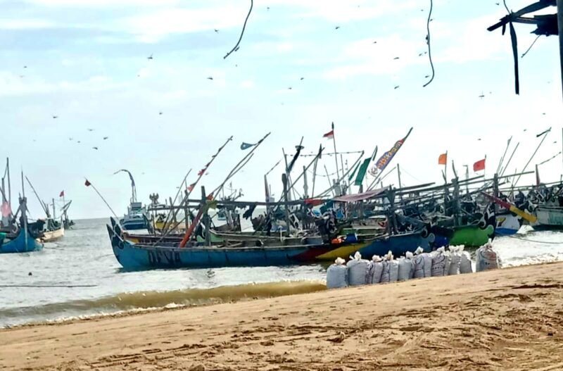 Ratusan perahu asal Pasuruan berada di pesisir Desa Tanjung, Kecamatan Pademawu, Kabupaten Pamekasan. (ISTIMEWA)