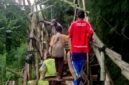 Siswa SDN Palengaan Daja 1 melintasi jembatan dari bambu menuju sekolahnya. (KLIKMADURA)