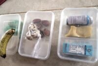 Menu MBG yang diterima siswa-siswi SDN Murtajih 2 Pamekasan. (ISTIMEWA)