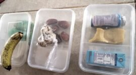 Menu MBG yang diterima siswa-siswi SDN Murtajih 2 Pamekasan. (ISTIMEWA)