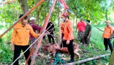 Sejumlah tim BPBD saat mengevakuasi sapi yang tercebur ke dalam sumur di Sampang. (ABDURRAHMAN WAHID / KLIKMADURA)