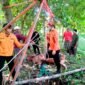 Sejumlah tim BPBD saat mengevakuasi sapi yang tercebur ke dalam sumur di Sampang. (ABDURRAHMAN WAHID / KLIKMADURA)