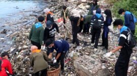 Mahasiswa pecinta alam saat membersihkan pesisir Pelabutan Timur, Desa / Kecamatan Kamal, Bangkalan. (NUR FITRIA / KLIKMADURA)