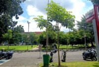 PANAS: Sejumlah mahasiswa berteduh di halaman Universitas Trunojoyo Madura (UTM). (NUR FITRIA / KLIKMADURA)