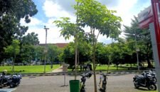 PANAS: Sejumlah mahasiswa berteduh di halaman Universitas Trunojoyo Madura (UTM). (NUR FITRIA / KLIKMADURA)