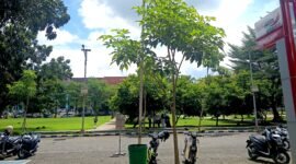 PANAS: Sejumlah mahasiswa berteduh di halaman Universitas Trunojoyo Madura (UTM). (NUR FITRIA / KLIKMADURA)