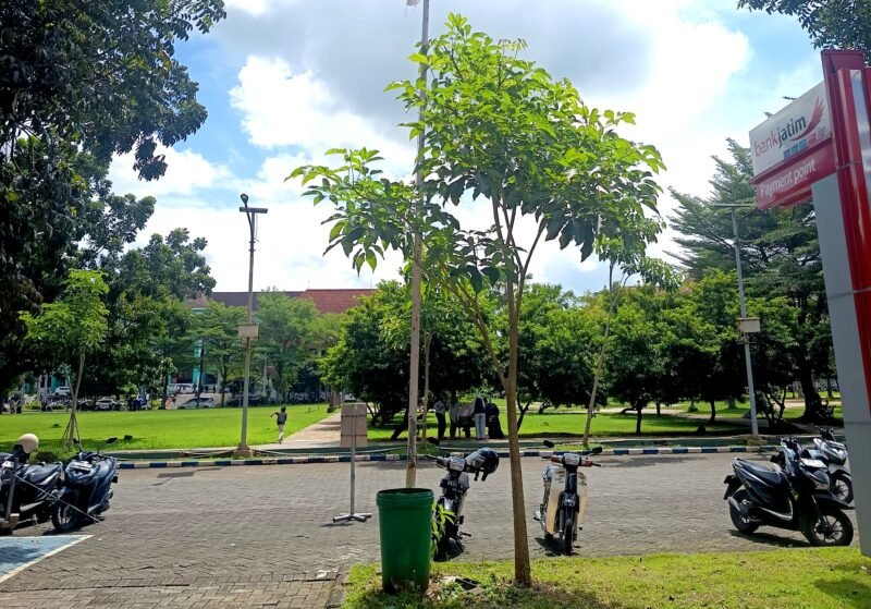PANAS: Sejumlah mahasiswa berteduh di halaman Universitas Trunojoyo Madura (UTM). (NUR FITRIA / KLIKMADURA)
