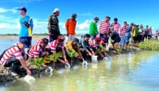 Puluhan nelayan dan Perhutani KPH Madura saat menebar bibit ikan bandeng di Dusun Trakem, Desa Majungan, Kecamatan Pademawu, Rabu (29/4/2026). (MOH. IQBALUL KHAVEI MZ / KLIKMADURA)