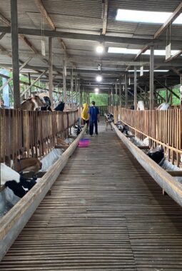 berita-rekomendasi-foto