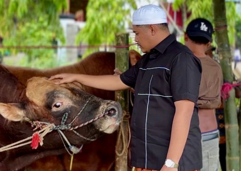Ketua Majelis Tangga Seribu, Andi Ali Syahbana saat melihat sapi sebelum disembelih, Kamis (28/5/2026).