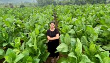 Seorang perempuan berparas cantik saat sedang berfoto di lahan tanam tembakau miliknya di Dusun Bagunung, Desa Klompang Timur, kecamatan Pakong. (MOH. IQBALUL KHAVEI MZ / KLIKMADURA)
