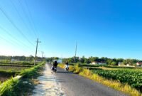 Pengendara melintas di Jalan Raya Plakpak, Desa Plakpak, Kecamatan Pegantenan, Pamekasan (LAILIYATUN NURIYAH/KLIK MADURA).  