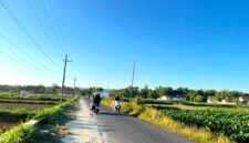 Pengendara melintas di Jalan Raya Plakpak, Desa Plakpak, Kecamatan Pegantenan, Pamekasan (LAILIYATUN NURIYAH/KLIK MADURA).  