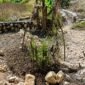 Penampakan proyek P3-TGAI Tahun Anggaran 2026 di Desa Sogian, Kecamatan Omben, Sampang. (KLIKMADURA)