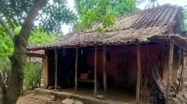 Salah satu RTLH di Kabupaten Sampang yang membutuhkan sentuhan pemerintah untuk perbaikan. (KLIKMADURA)