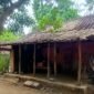Salah satu RTLH di Kabupaten Sampang yang membutuhkan sentuhan pemerintah untuk perbaikan. (KLIKMADURA)