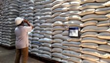 Petugas tengah melakukan pengecekan stok beras di gudang penyimpanan Bulog Sub Divre XII Madura. (MOH. IQBALUL KHAVEI MZ / KLIKMADURA)