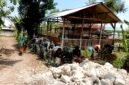 Sejumlah aparat TNI melakukan aksi bersih-bersih di Desa Panyepen, Sampang. (KLIKMADURA)