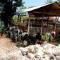 Sejumlah aparat TNI melakukan aksi bersih-bersih di Desa Panyepen, Sampang. (KLIKMADURA)