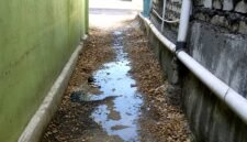 Penampakan salah satu air limbah dapur MBG di Kecamatan Camplong. (KLIKMADURA)