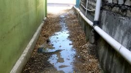 Penampakan salah satu air limbah dapur MBG di Kecamatan Camplong. (KLIKMADURA)