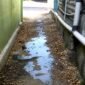 Penampakan salah satu air limbah dapur MBG di Kecamatan Camplong. (KLIKMADURA)
