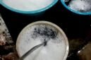 Sampel air sumur milik warga Kecamatan Tambelangan, Kabupaten Sampang dengan kondisi menghitam dan berbusa. (KLIKMADURA)