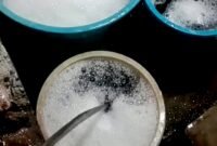 Sampel air sumur milik warga Kecamatan Tambelangan, Kabupaten Sampang dengan kondisi menghitam dan berbusa. (KLIKMADURA)