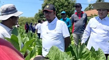 Bupati Sumenep Dr. H. Achmad Fauzi Wongsojudo berbincang dengan petani tembakau saat meninjau ke lapangan. (KLIKMADURA)