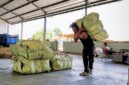 Salah satu warga tengah memikul satu bal tembaku di salah satu gudang di Pamekasan. (MOH. IQBALUL KHAVEI MZ / KLIKMADURA)