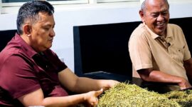 H. Her saat menyortir tembakau saat melakukan pembelian. (DOK. KLIKMADURA)