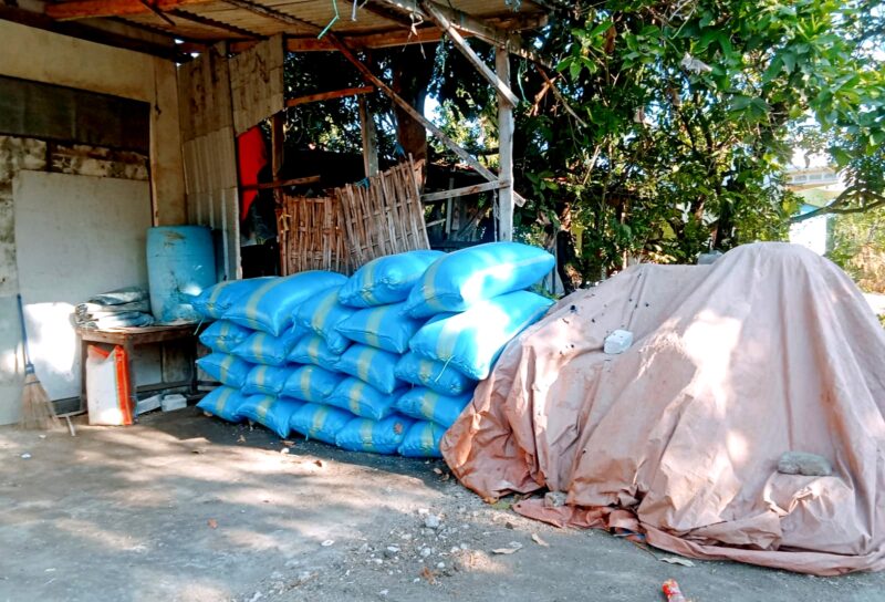 Garam milil petani asal Dusun Takobuh, Kelurahan Karang Dalam, Kecamatan Sampang ditimbun setelah panen. (ALI MUCHTAR / KLIKMADURA)