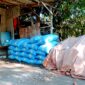 Garam milil petani asal Dusun Takobuh, Kelurahan Karang Dalam, Kecamatan Sampang ditimbun setelah panen. (ALI MUCHTAR / KLIKMADURA)
