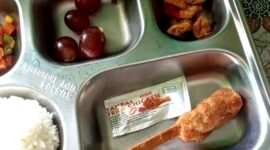 Menu Makan Bergizi Gratis (MBG) yang diterima siswa SDN Ketapang Timur 1, Sampang, menjadi sorotan setelah viral di media sosial. (ISTIMEWA)