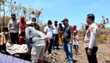 Petugas saat melakukan penanganan terhadap perempuan yang ditemukan meninggal dunia di area tanah tegal Dusun Aengnyior, Desa Lobuk, Kecamatan Bluto, Sumenep. (HUMAS POLRESTA SUMENEP FOR KLIKMADURA)