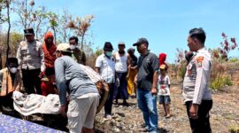 Petugas saat melakukan penanganan terhadap perempuan yang ditemukan meninggal dunia di area tanah tegal Dusun Aengnyior, Desa Lobuk, Kecamatan Bluto, Sumenep. (HUMAS POLRESTA SUMENEP FOR KLIKMADURA)
