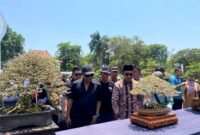 Bupati Pamekasan KH Kholilurrahman didampingi Ketua Panitia Pelaksana Pamnas Bonsai 2026 Firdaus Andriansyah, melihat salah satu bonsai. (KLIKMADURA)