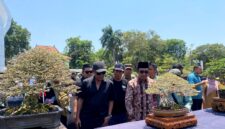 Bupati Pamekasan KH Kholilurrahman didampingi Ketua Panitia Pelaksana Pamnas Bonsai 2026 Firdaus Andriansyah, melihat salah satu bonsai. (KLIKMADURA)