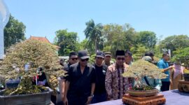 Bupati Pamekasan KH Kholilurrahman didampingi Ketua Panitia Pelaksana Pamnas Bonsai 2026 Firdaus Andriansyah, melihat salah satu bonsai. (KLIKMADURA)