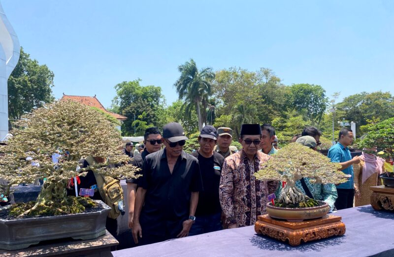 Bupati Pamekasan KH Kholilurrahman didampingi Ketua Panitia Pelaksana Pamnas Bonsai 2026 Firdaus Andriansyah, melihat salah satu bonsai. (KLIKMADURA)