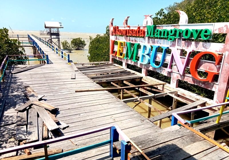 Kondisi ekowisata mangrove di Desa Lembung, Kecamatan Pademawu, Kabupaten Pamekasan. (KLIKMADURA)