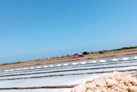 Salah satu lahan pegaraman di Kabupaten Sampang. (KLIKMADURA)