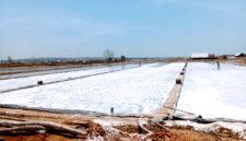 Petani mengais garam di salah satu lahan pegaraman di Kabupaten Sampang. (ALI MUCHTAR / KLIKMADURA)