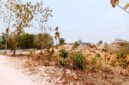 Tambang pasir batu (sirtu) di Desa Temoran, Kecamatan Omben, Kabupaten Sampang. (KLIKMADURA)