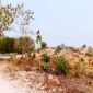 Tambang pasir batu (sirtu) di Desa Temoran, Kecamatan Omben, Kabupaten Sampang. (KLIKMADURA)
