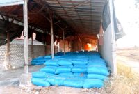Tumpukan garam di salah satu gudang penyimpanan milik warga di Kabupaten Sampang. (KLIKMADURA)