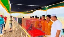 Kepala Desa Gingging, Habi, (kaus putih) melihat salah satu merpati MGG peserta mini kontes. (KLIKMADURA)